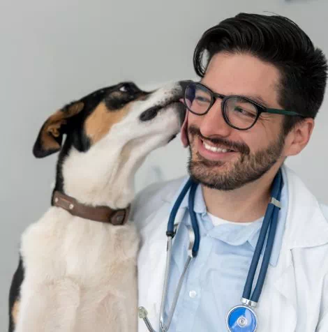 Pies i weterynarz w okularach